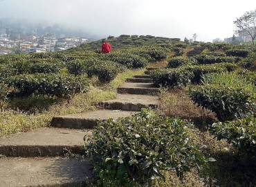 Nature Lover Homestay -Sittong Homestay